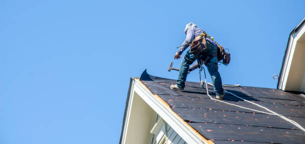 Best Roof Gutter Cleaning  in Edwardsburg, MI